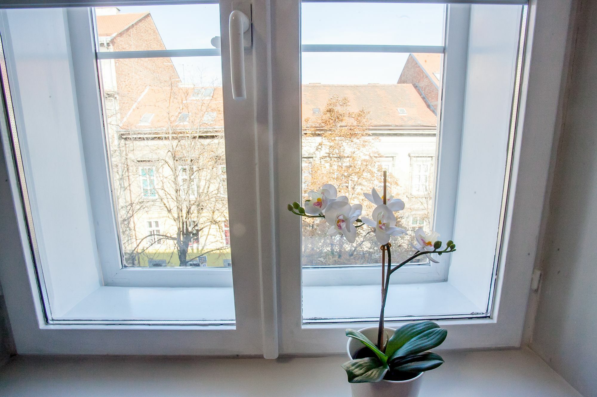 Zagreb City Vibe Apartments & Rooms Eksteriør bilde