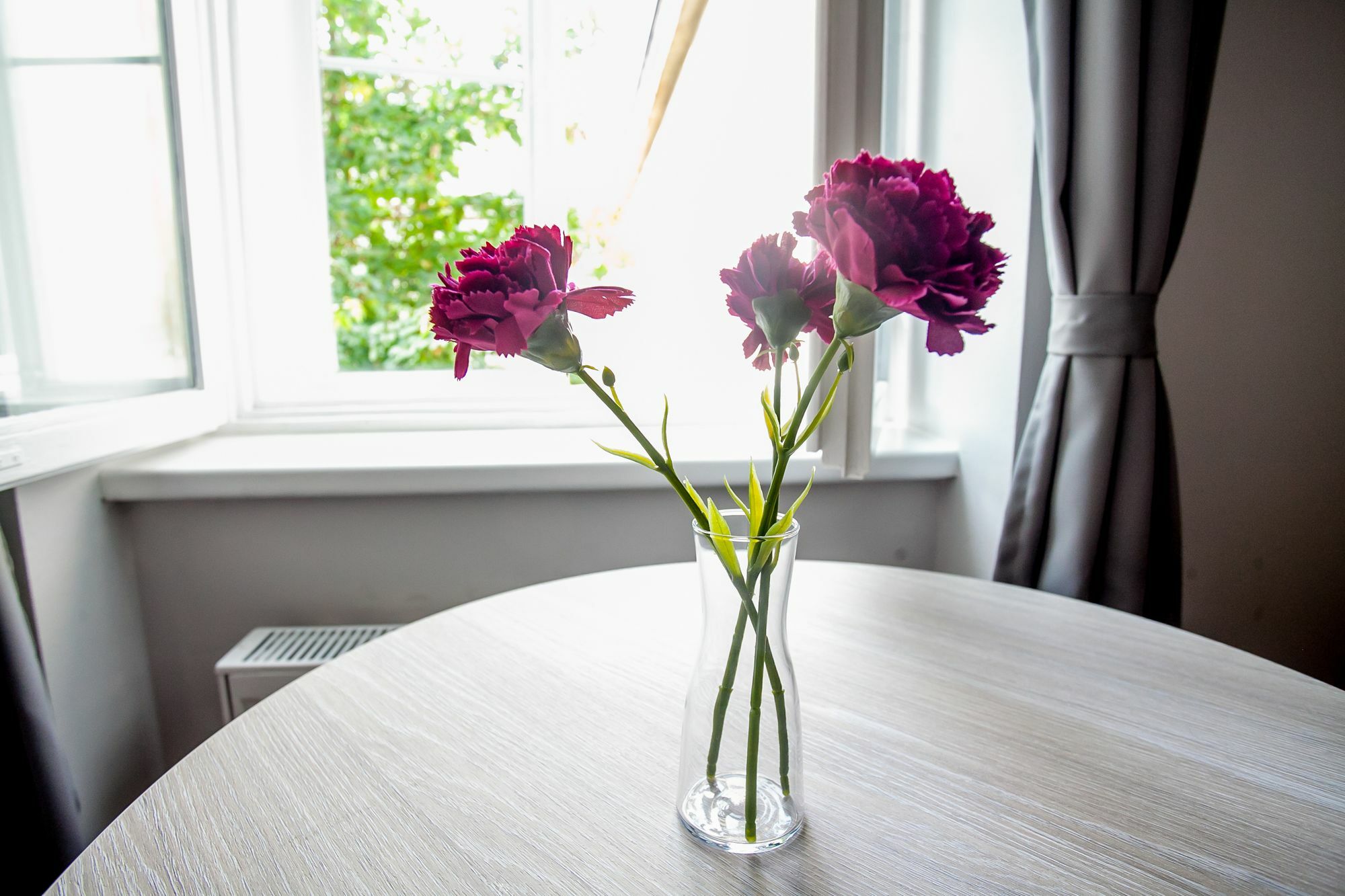 Zagreb City Vibe Apartments & Rooms Eksteriør bilde